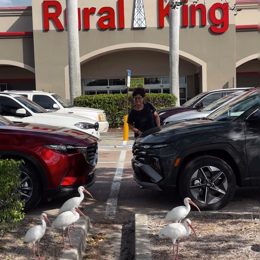 Rural King Guns photo 3