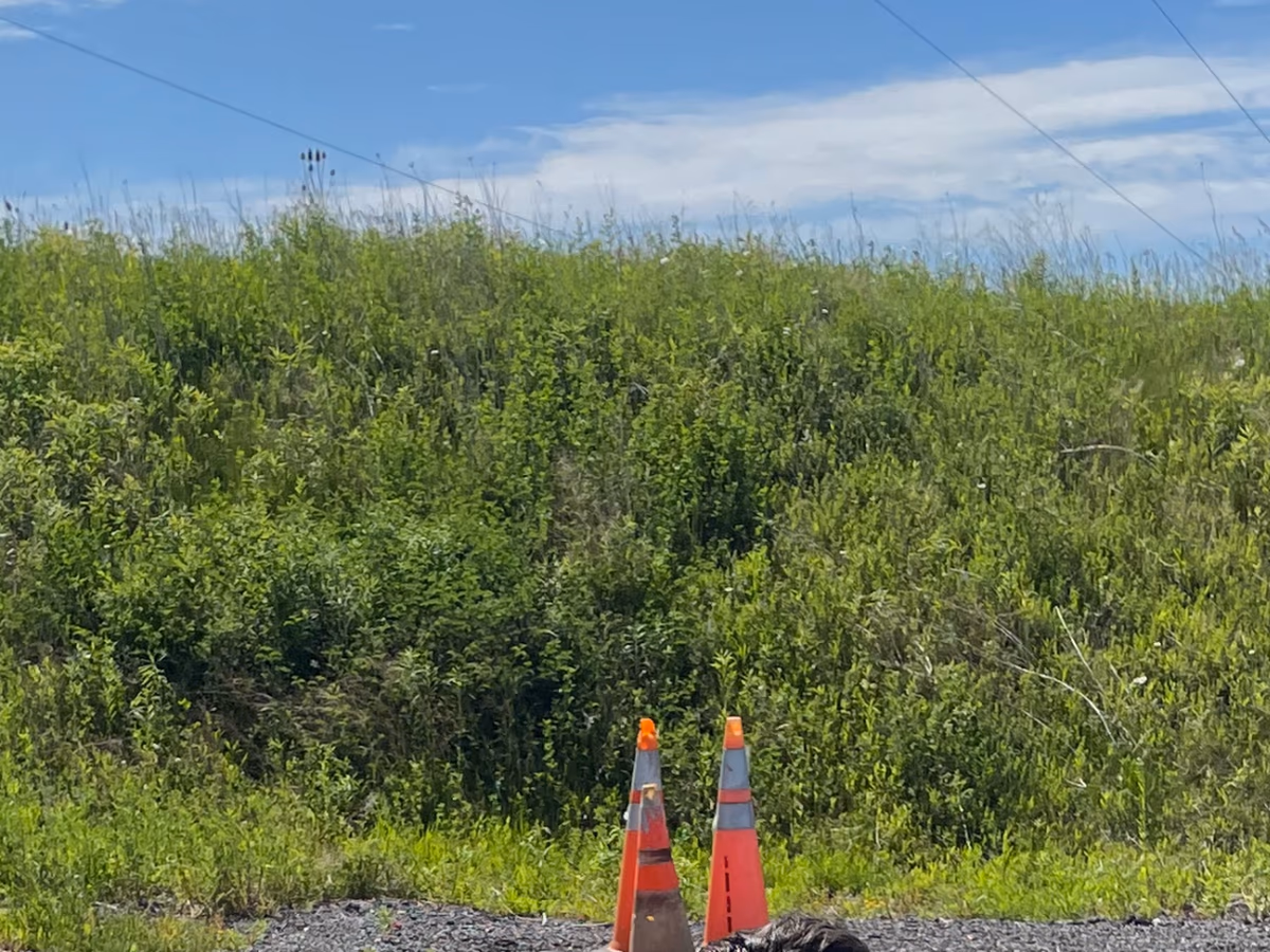 Sheridan Transit Rod and Gun Club