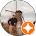 Sirchers' Guns & Ammo, LLC