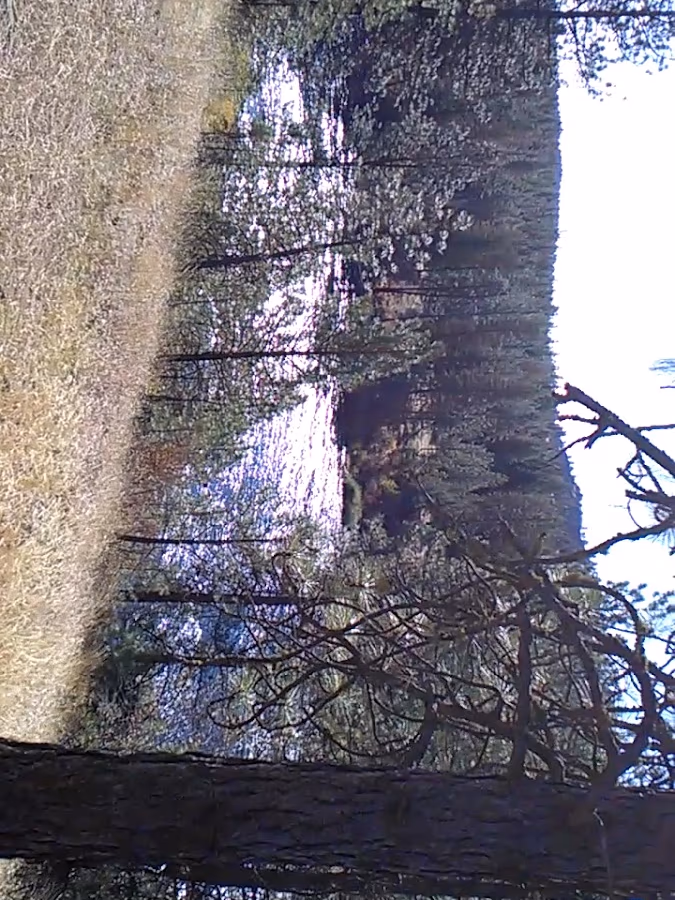 Spokane Rifle Club photo 3