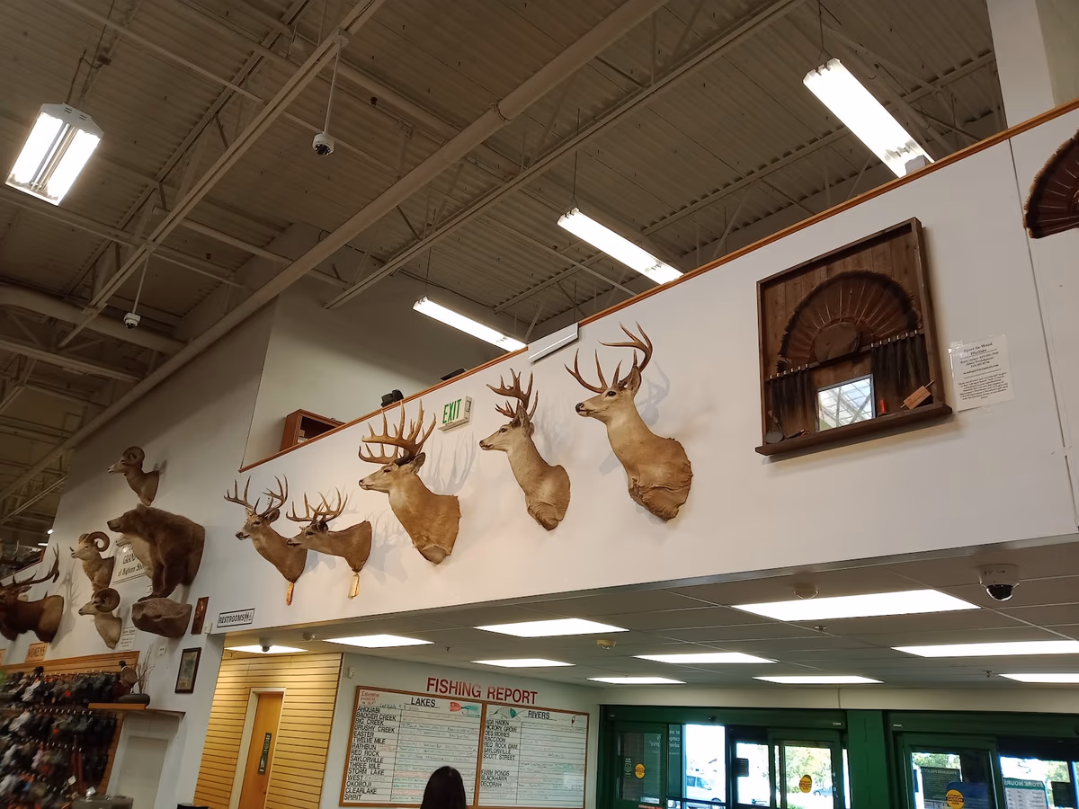 Sportsman's Warehouse photo 2