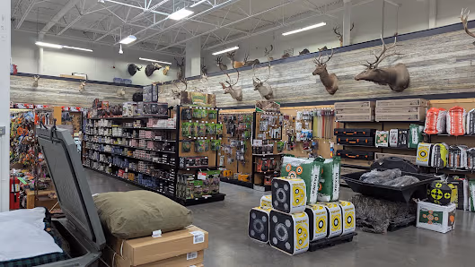 Sportsman's Warehouse photo 2
