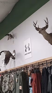 Sportsman's Warehouse photo 3