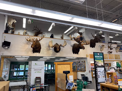 Sportsman's Warehouse photo 2