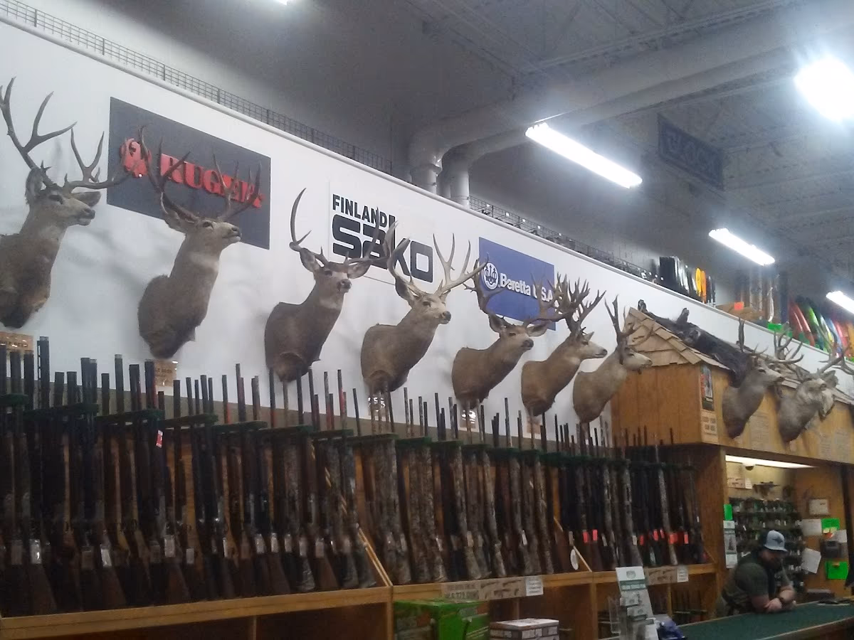 Sportsman's Warehouse photo 2