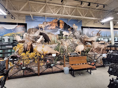 Sportsman's Warehouse photo 3