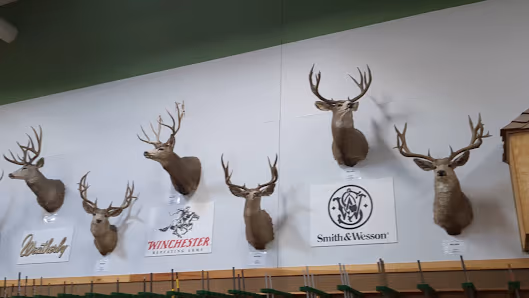 Sportsman's Warehouse photo 3