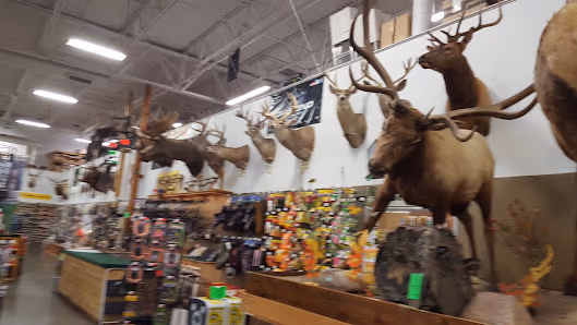 Sportsman's Warehouse photo 2