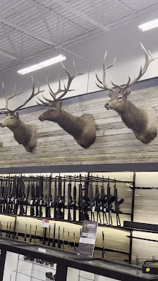 Sportsman's Warehouse photo 3