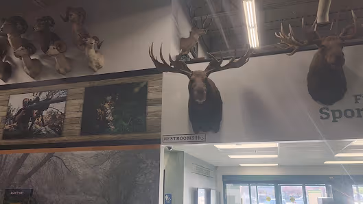 Sportsman's Warehouse photo 3