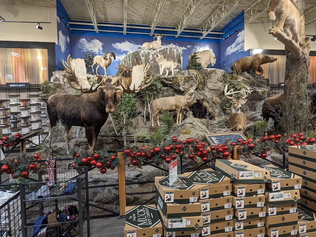 Sportsman's Warehouse photo 3
