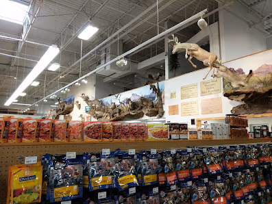 Sportsman's Warehouse photo 3