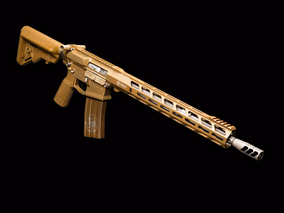 Stellar Arms photo 3