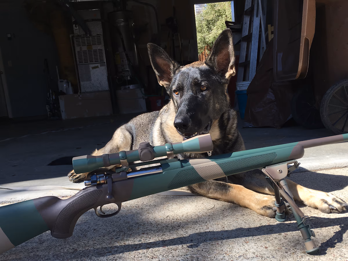 Trinity Gunsmithing photo 3