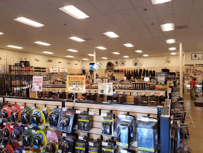 Turner's Outdoorsman-Lake Forest photo 2