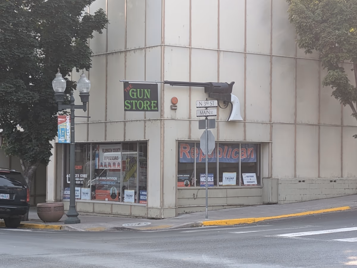 Two Badge Guns