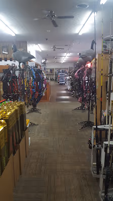 Uncle Dan's Pawn Gun & Archery