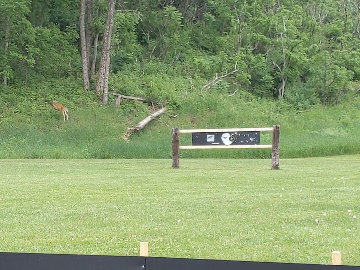 West Salem Rod & Gun Club photo 3