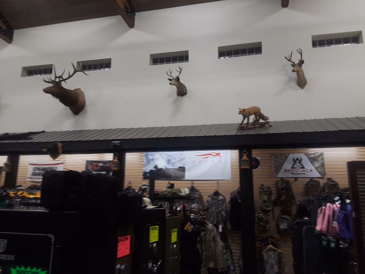 WGS Guns photo 3