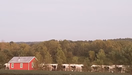 Wicen's Shooting Range and Learning Center photo 2